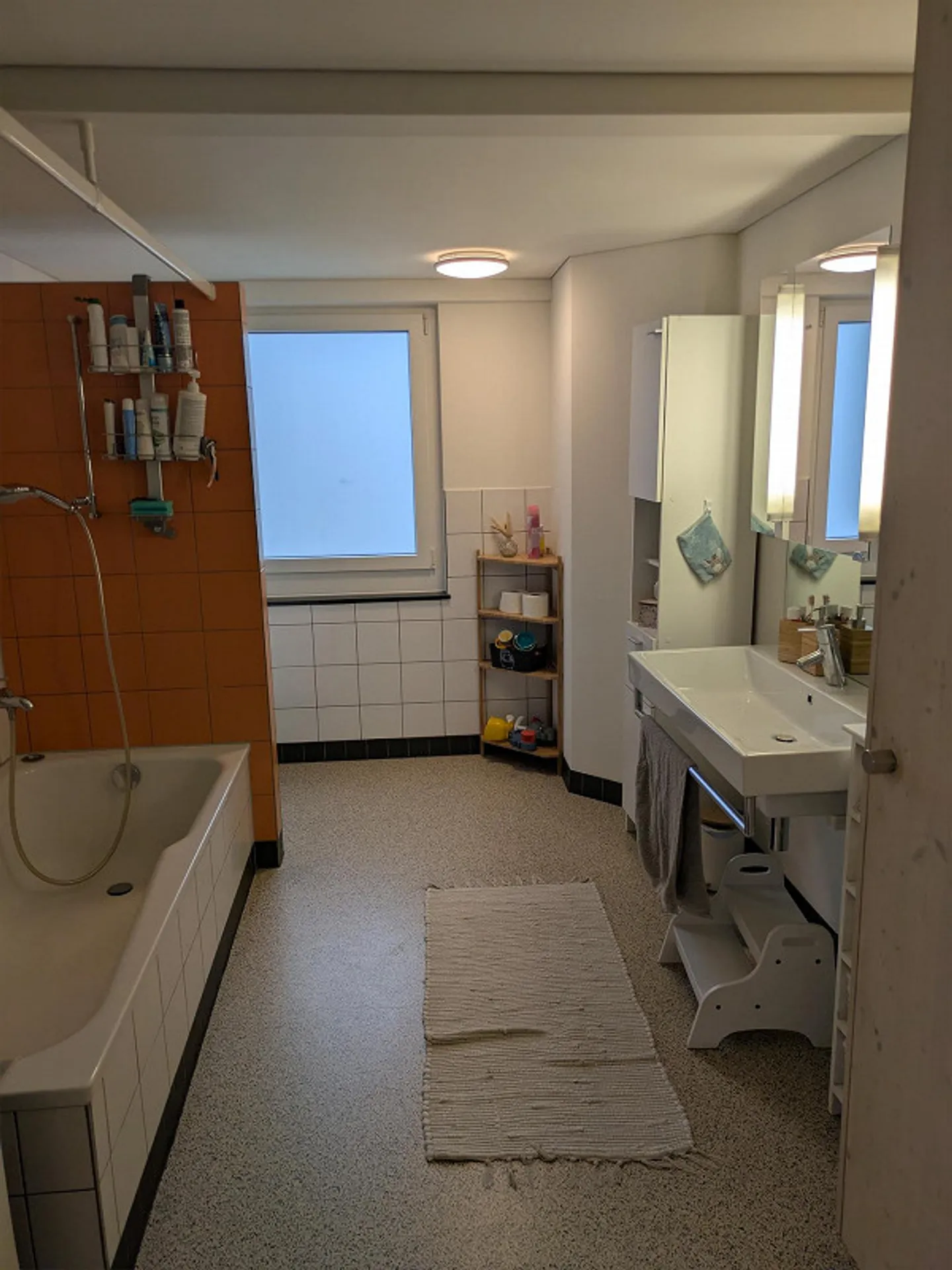 Bellissimo appartamento di 4,5 stanze con vista sulle montagne - Foto 6 di 9