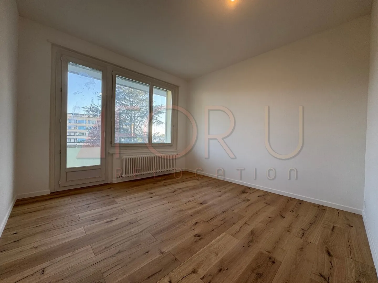 APPARTAMENTO RIVE DEL REN RENOVATO 5 STANZE CON VISTA SUL JET D'EAU - Foto 10 di 13