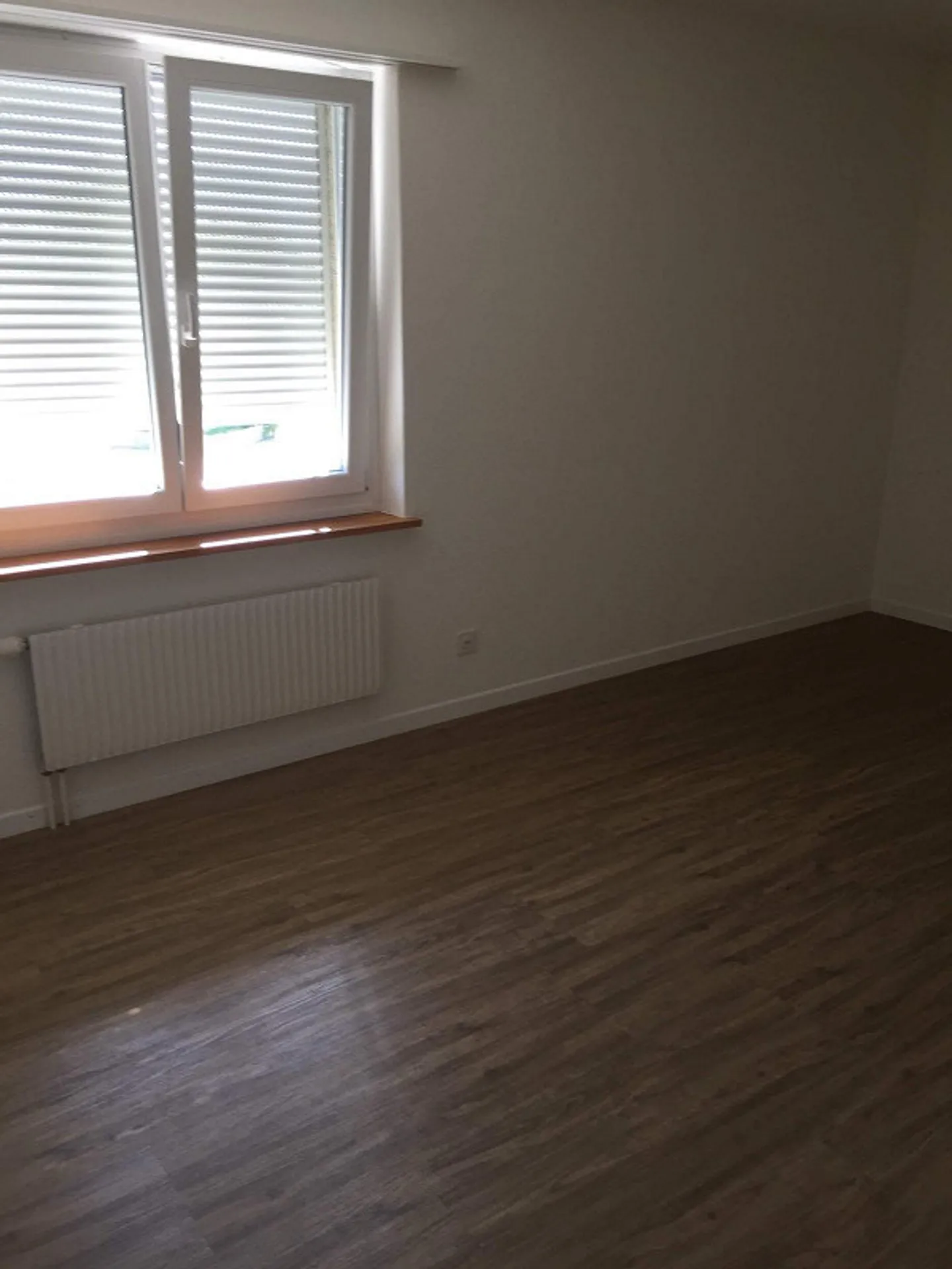Looking for a new tenant: Sunny 4.5-room apartment with mountain view in Balgach - Photo 3 of 9