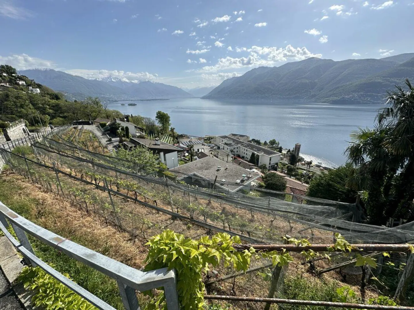 BRISSAGO - Interesting Building Land - Photo 1 of 3