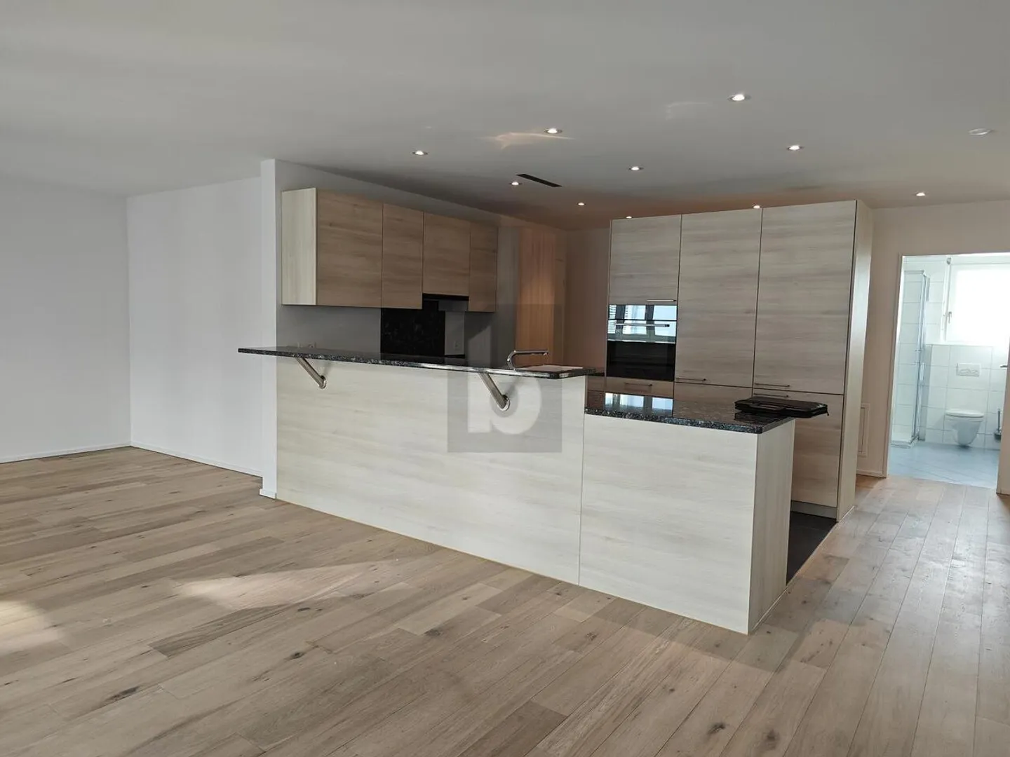 SPACIOUS LIVING AREA WITH LARGE KITCHEN - Photo 1 of 5
