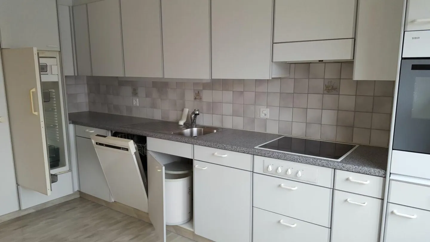 Spacious 4.5-room apartment in a quiet location - Photo 8 of 13