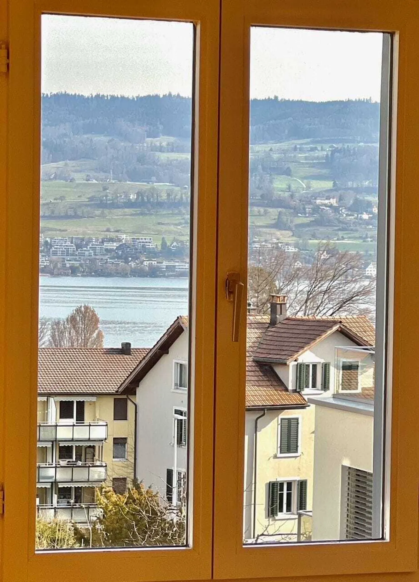 MFH Horgen - Foto 6 von 13