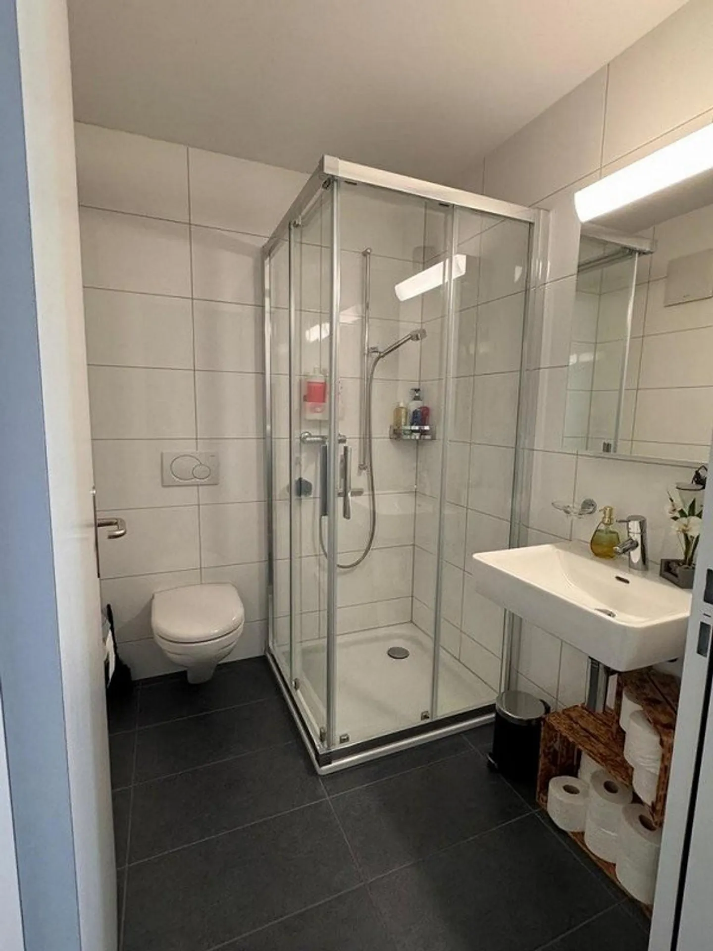 Maison de rêve dans un emplacement calme avec toutes les commodités à partir du 1er juin 2026 - Photo 5 sur 12