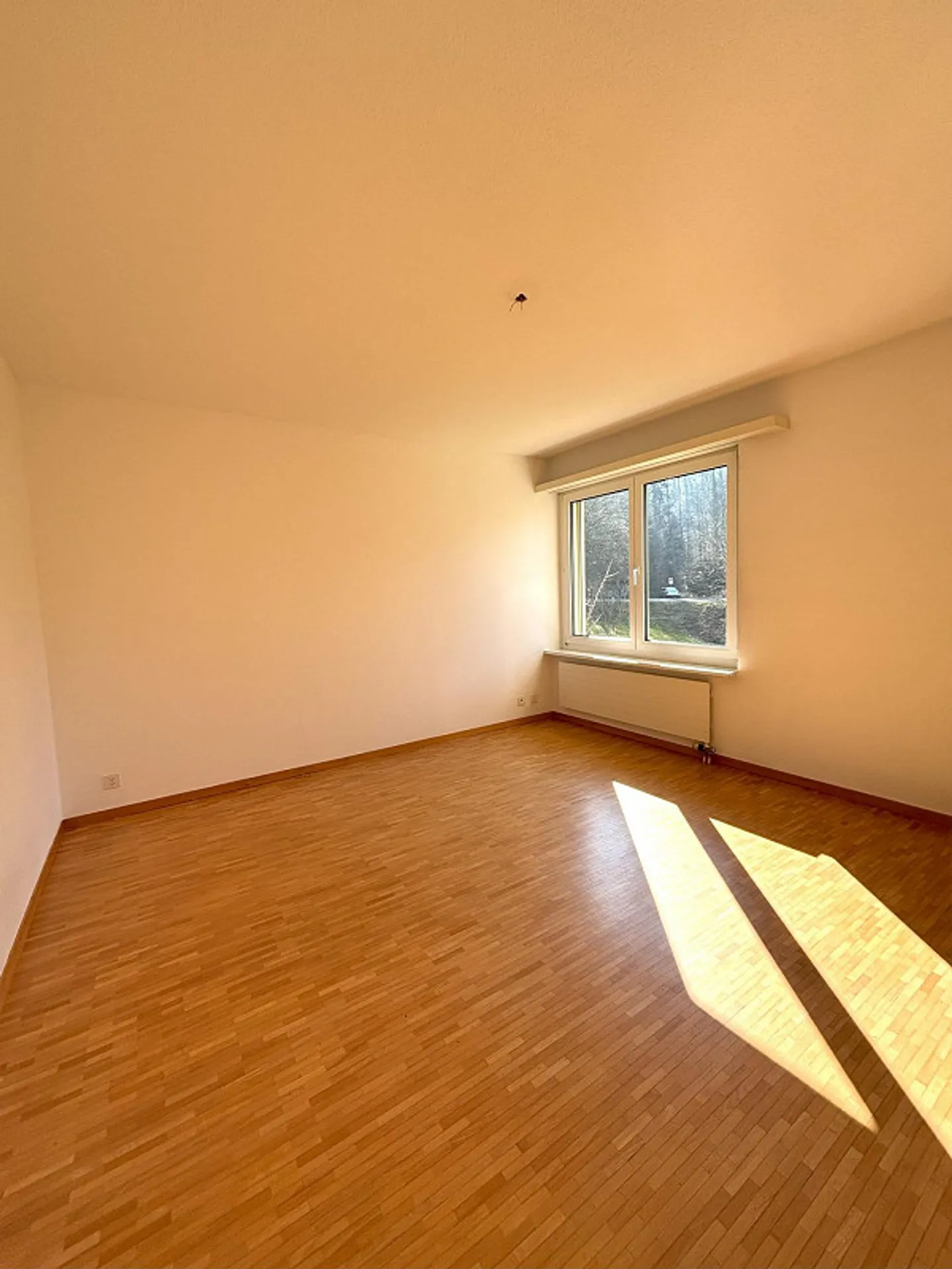 Hier endet Ihre Wohnungssuche - Foto 2 von 9