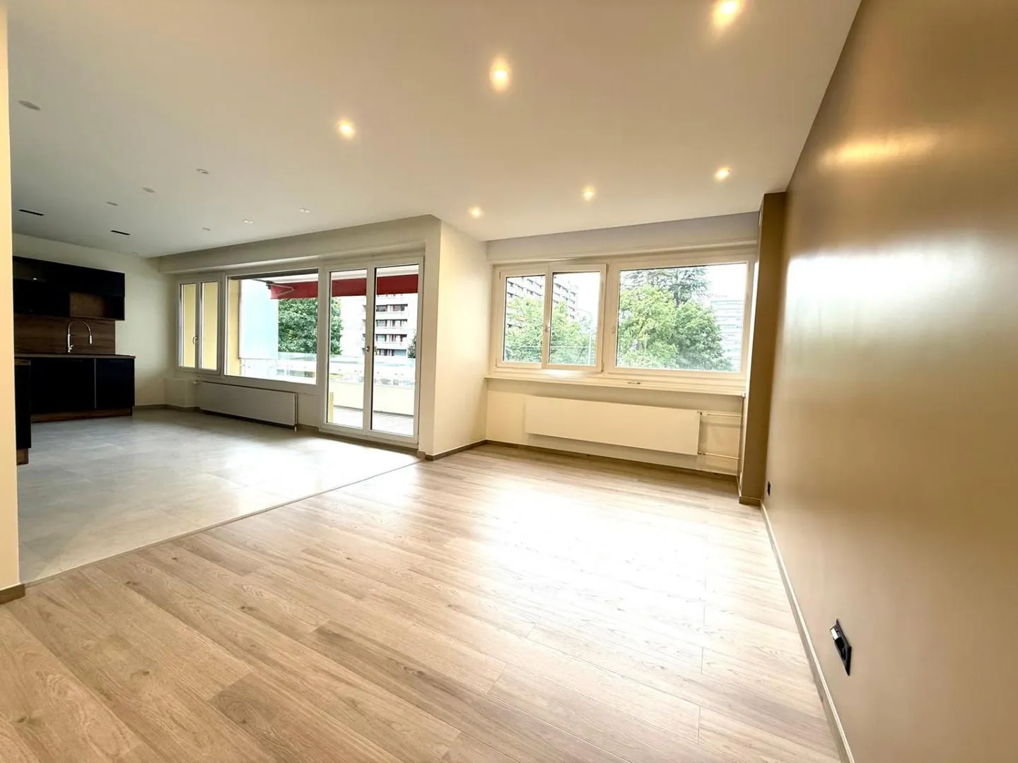 Renovated Apartment in Petit-Saconnex - Photo 2 of 13