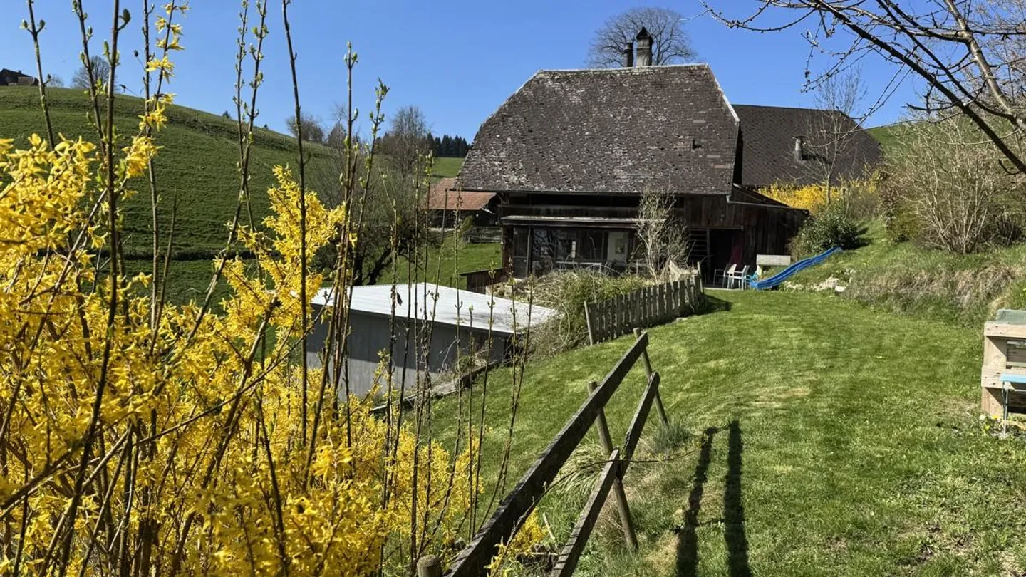 Stöckli in an idyllic location in the green - Photo 6 of 15