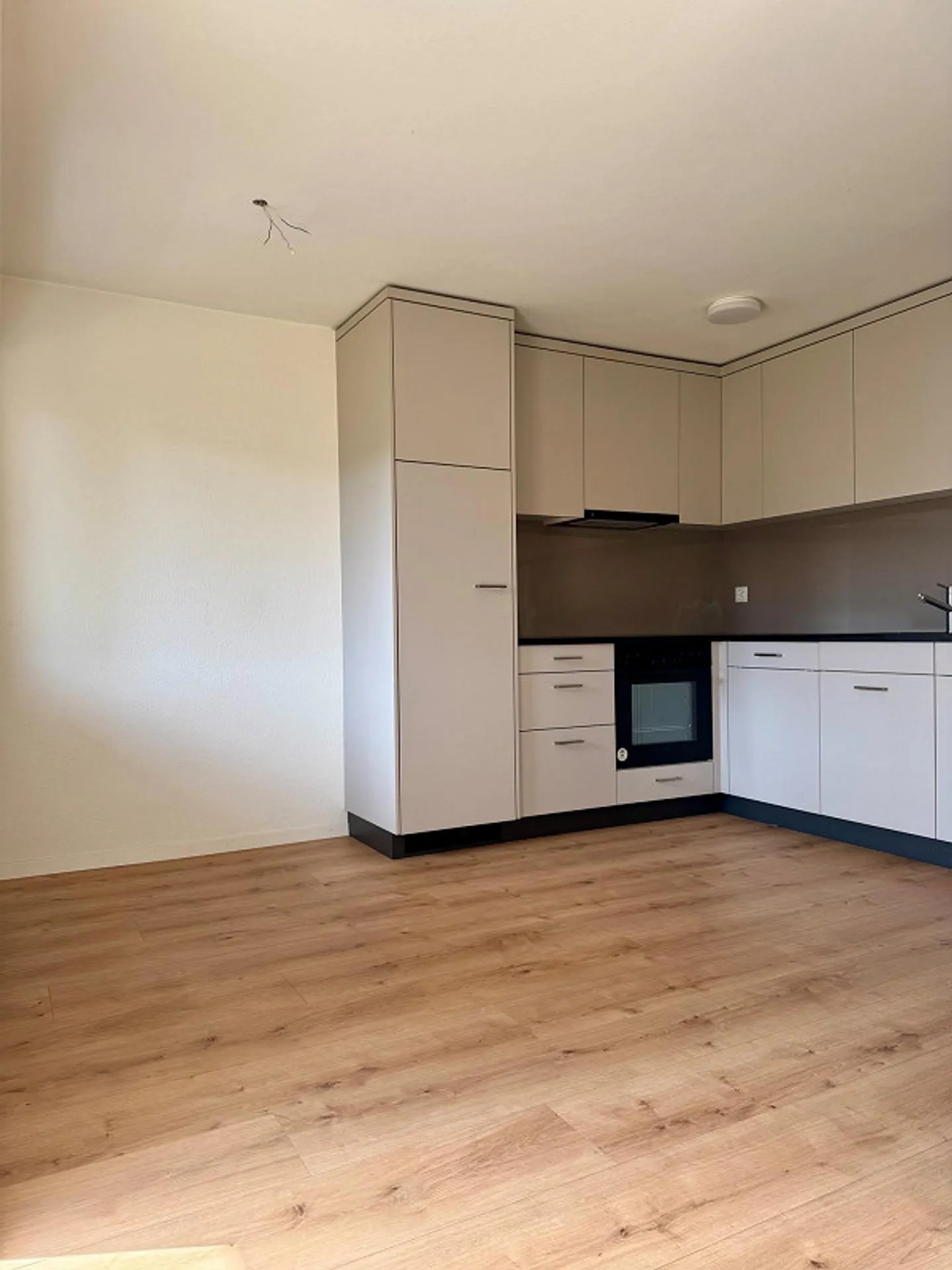Appartamento 3.5 locali al piano rialzato - Foto 3 di 13
