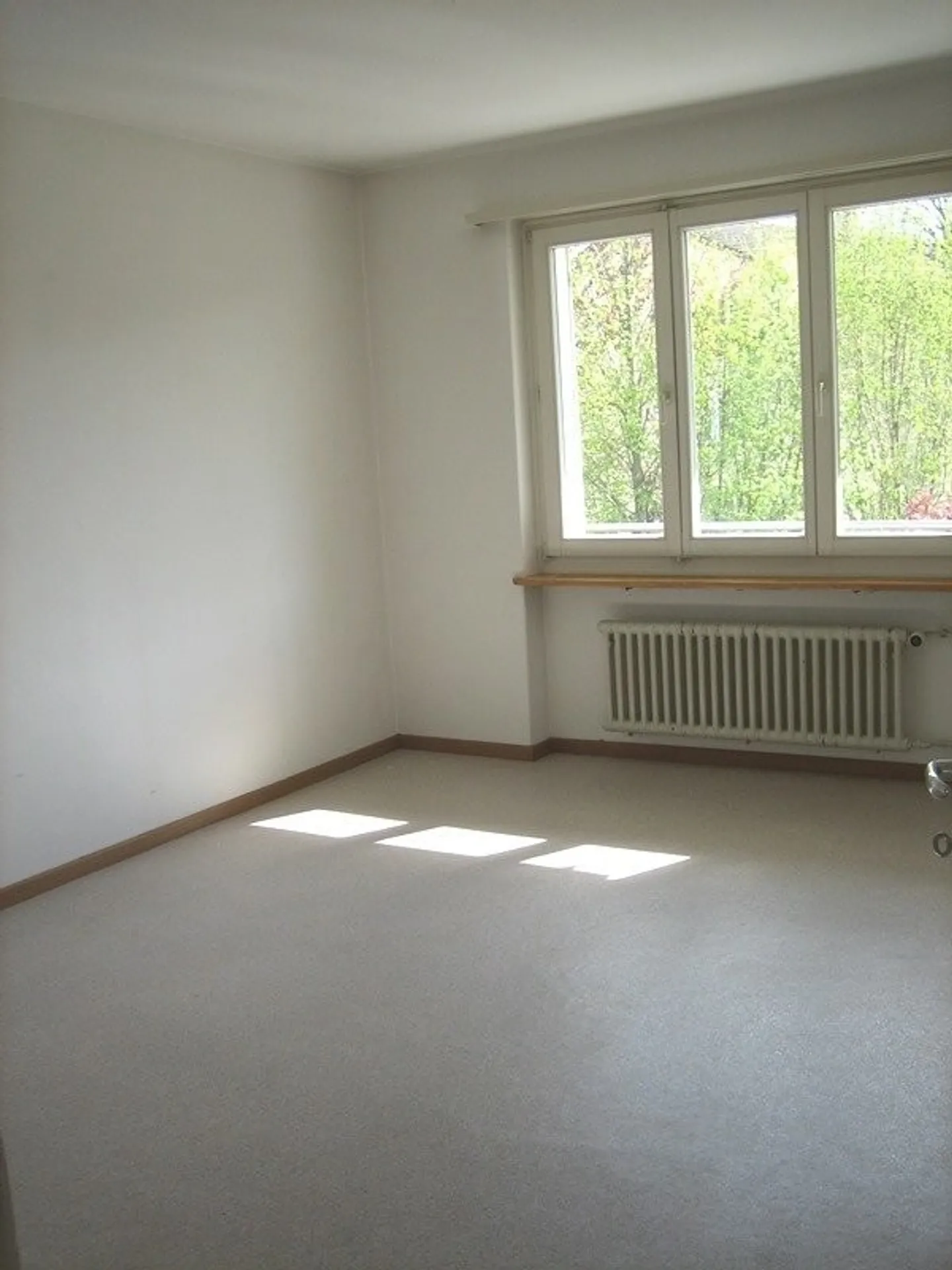 Charming 2.5-Room Apartment - Photo 3 of 6