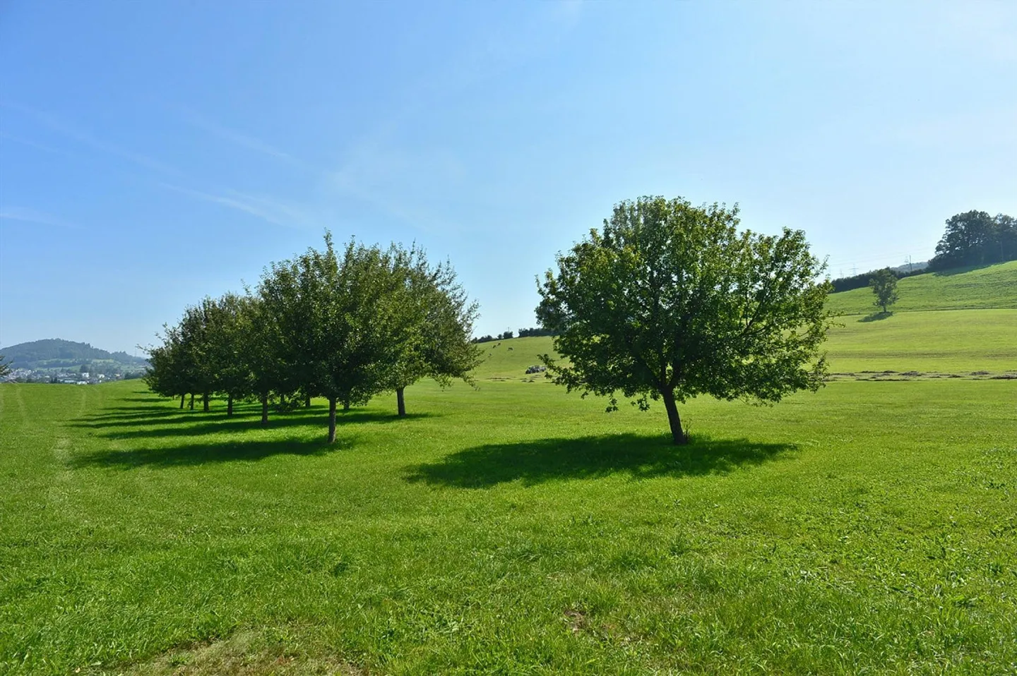Vivere a contatto con la natura e in tranquillità – incluso un'area salotto e un grande mansarda - Foto 9 di 10