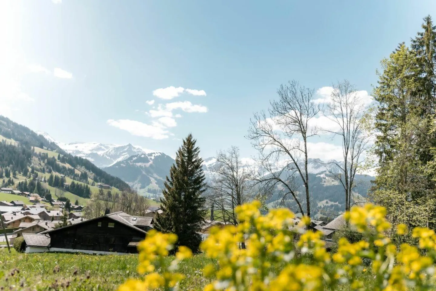 Chalet exclusif avec appartement séparé dans un emplacement ensoleillé à Schönried - Photo 18 sur 26