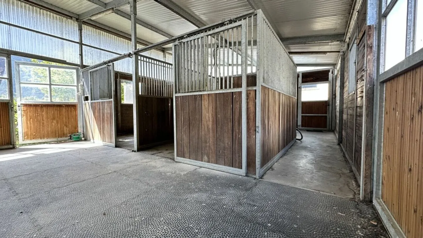 Villa con scuderia per cavalli a Dorénaz - Foto 19 di 22