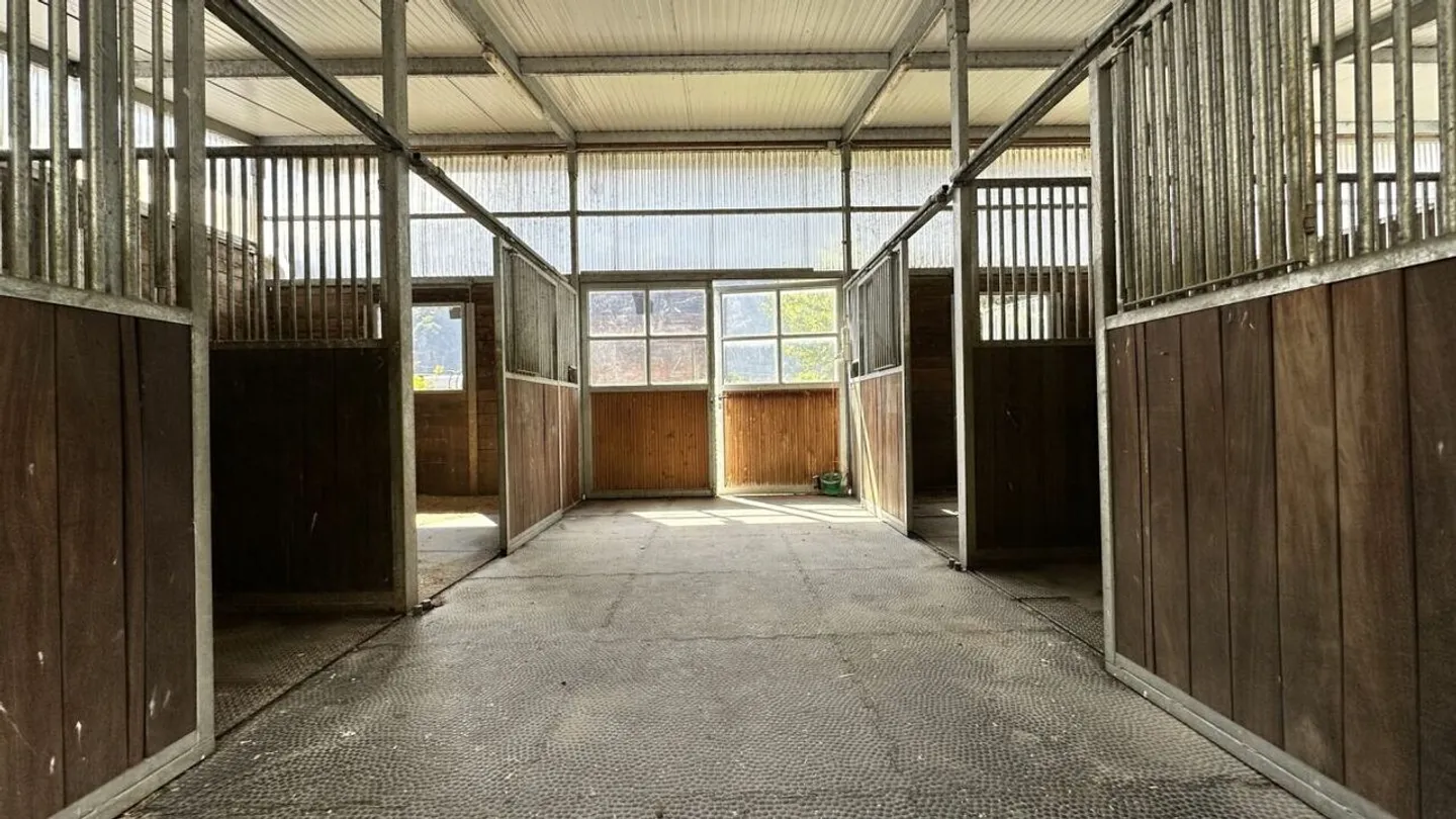 Villa con scuderia per cavalli a Dorénaz - Foto 20 di 22