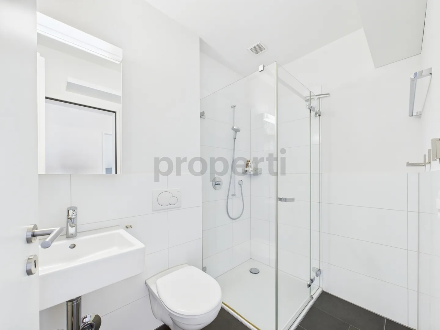 Exquisite Attic Apartment near Zurich-Seebach - Photo 12 of 13