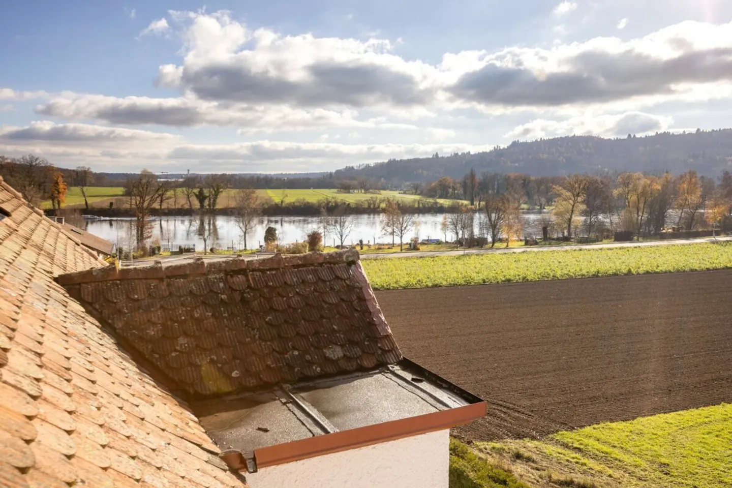 Viel Freiraum, Rheinsicht und Lebensqualität im einzigartig gelegenen Wohnhaus - Photo 3 of 43