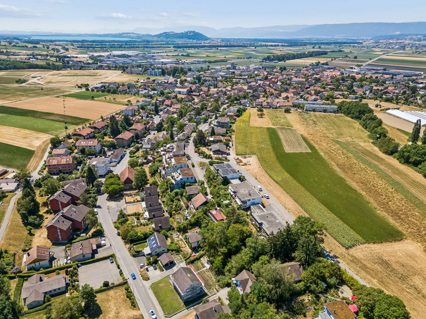 Baugrundstück mit Gestaltungsspielraum - Foto 7 von 7