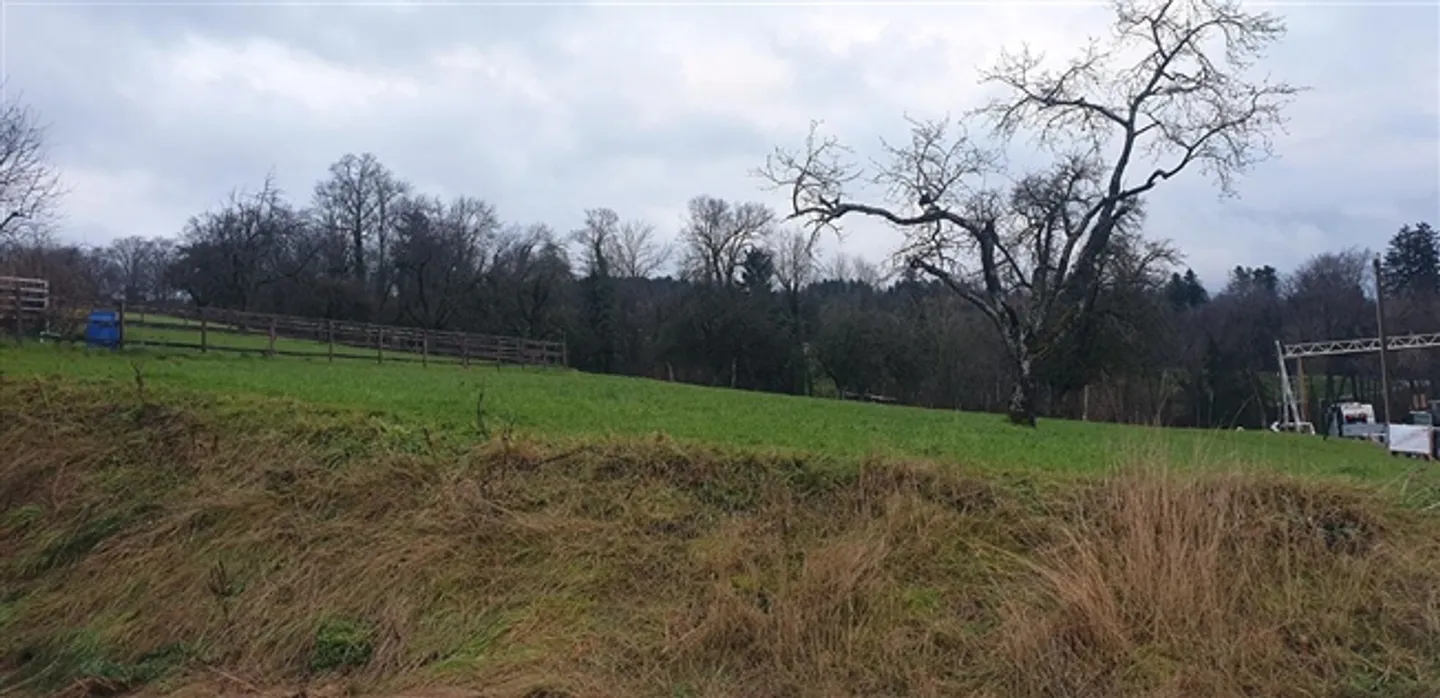 Elevated Location | Quiet Home with Distant View - Photo 2 of 6