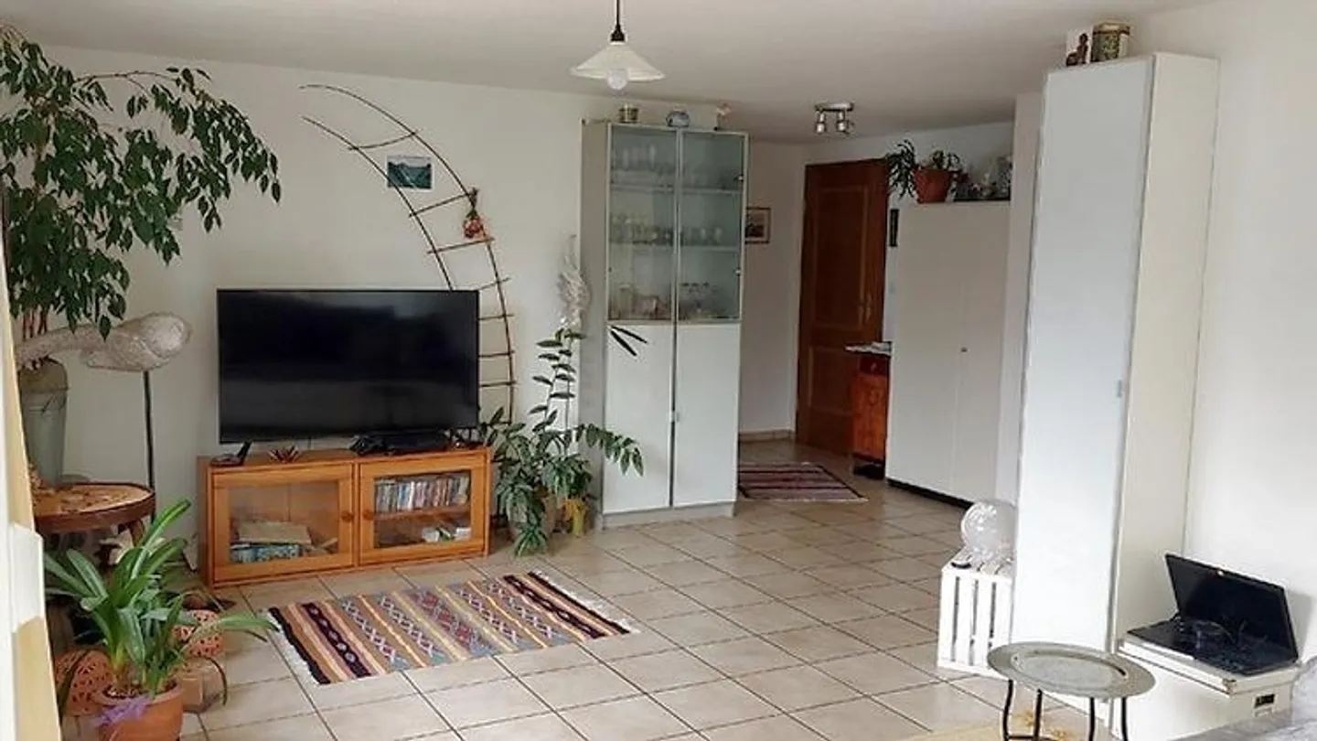 2 ROOM APARTMENT IN BÜRGLEN (UR), FURNISHED, TEMPORARY - Photo 1 of 8