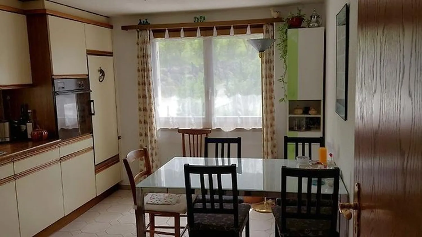 2 ROOM APARTMENT IN BÜRGLEN (UR), FURNISHED, TEMPORARY - Photo 4 of 8