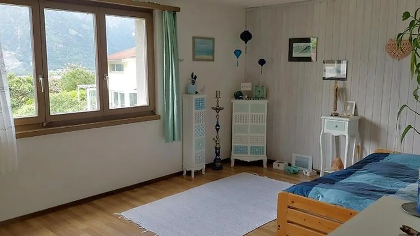 2 ROOM APARTMENT IN BÜRGLEN (UR), FURNISHED, TEMPORARY - Photo 5 of 8