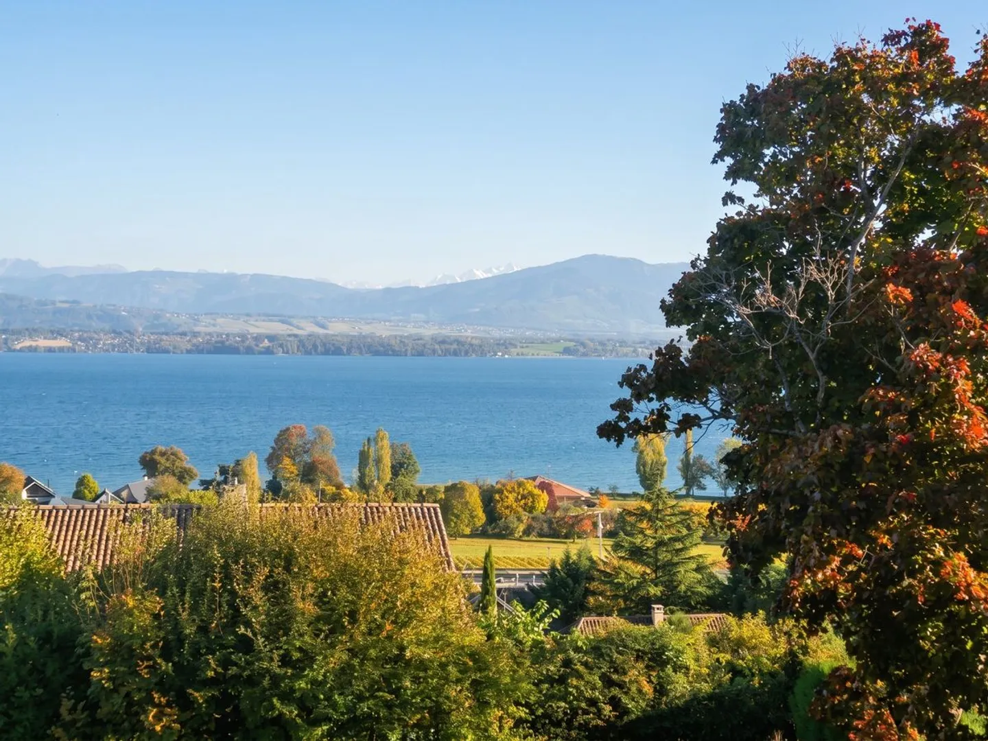 NYON (5 Minuten von Nyon) OFF MARKET Architektenhaus - Foto 1 von 1