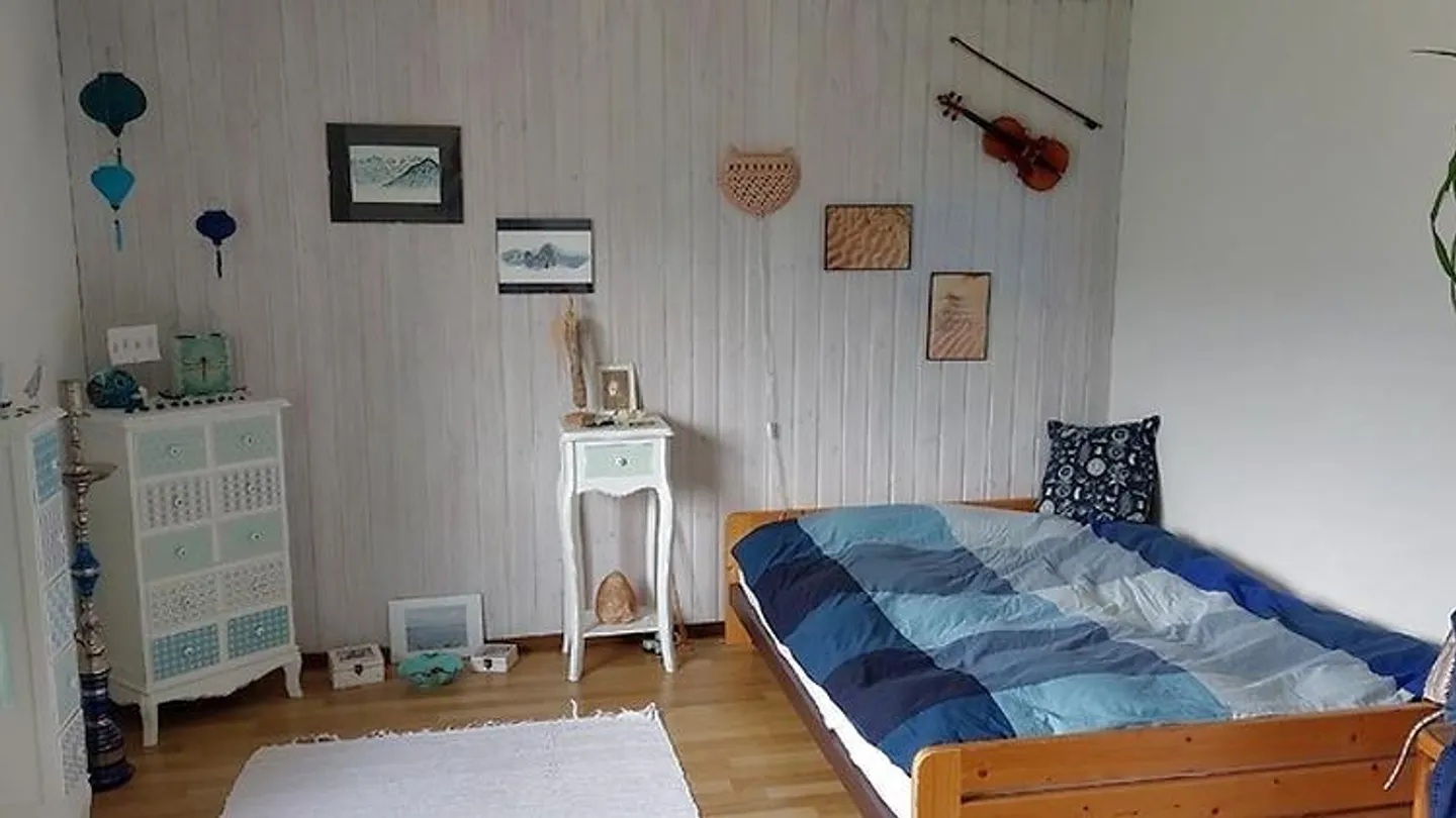 2 ROOM APARTMENT IN BÜRGLEN (UR), FURNISHED, TEMPORARY - Photo 6 of 8