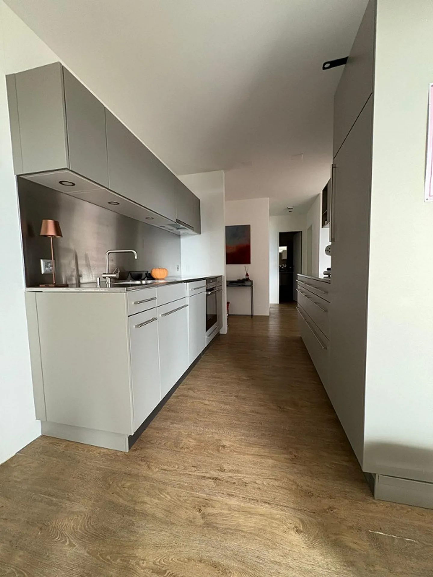 3½-Room Terrace Apartment with Stunning Lake View - Photo 5 of 14
