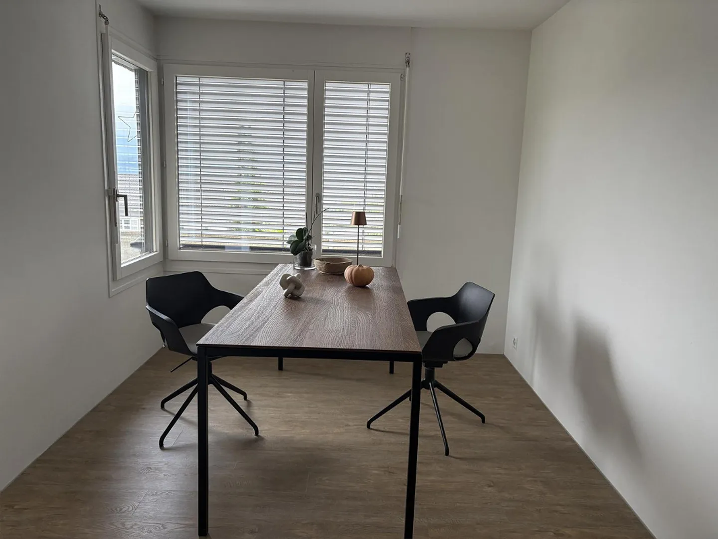 3½-Room Terrace Apartment with Stunning Lake View - Photo 6 of 14
