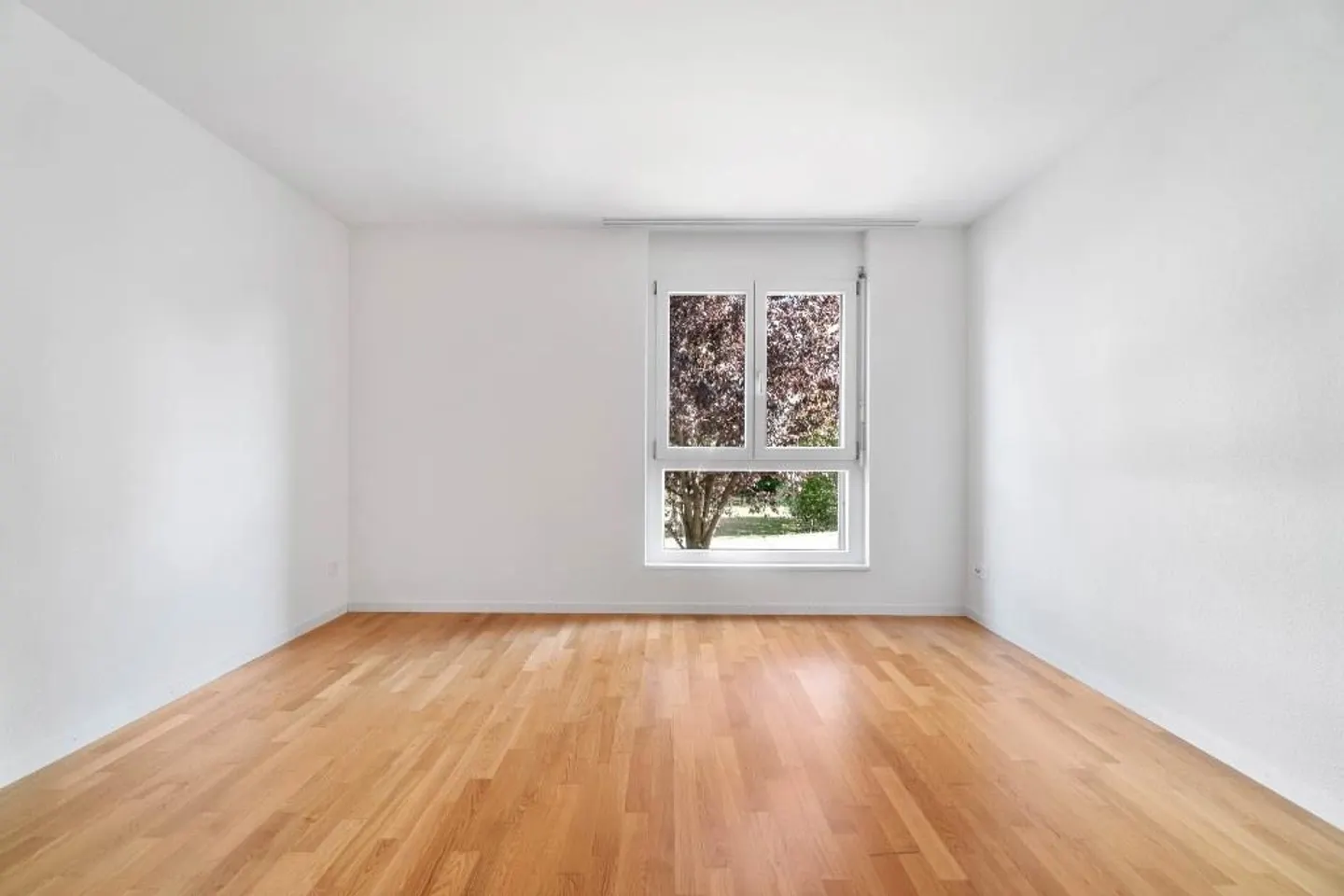 La tua nuova casa con area giardino! - Foto 4 di 8