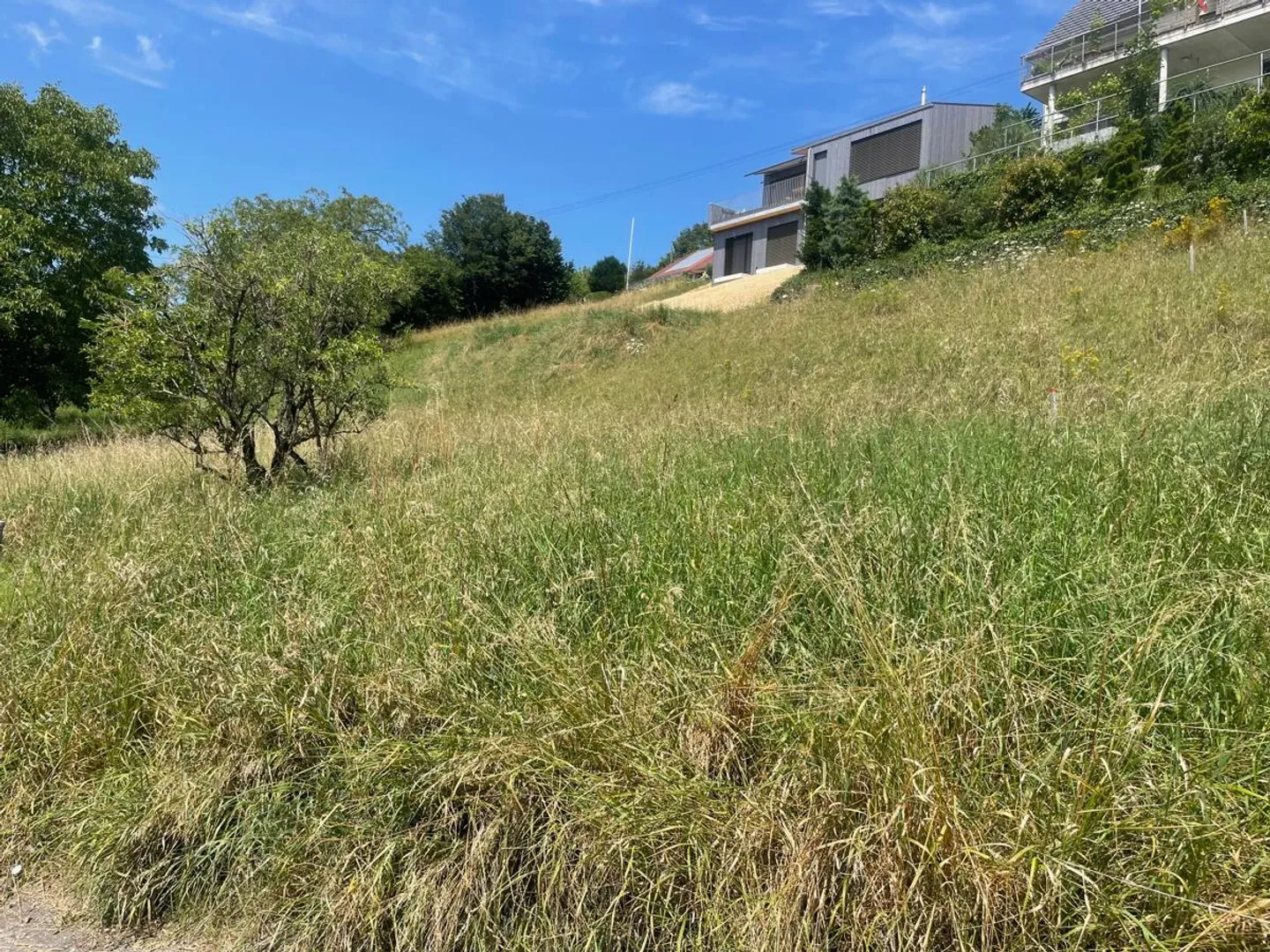 Terreno edificabile - Foto 2 di 3
