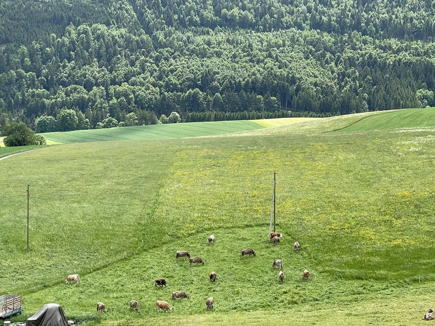 Appartamento 4.5 stanze - Foto 2 di 3