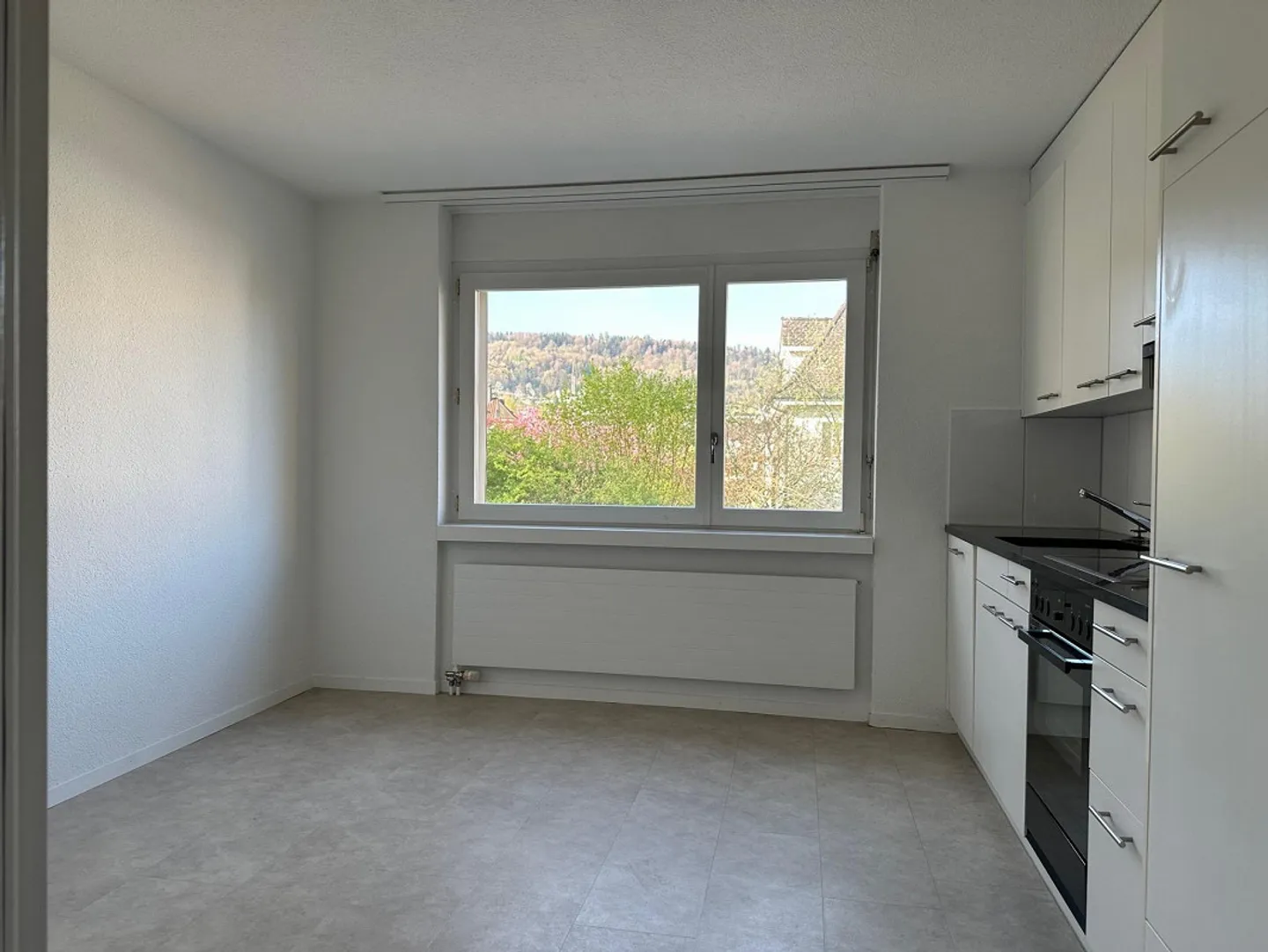 4.5-room apartment on the 1st floor for rent in 8047 Zurich - Photo 3 of 11