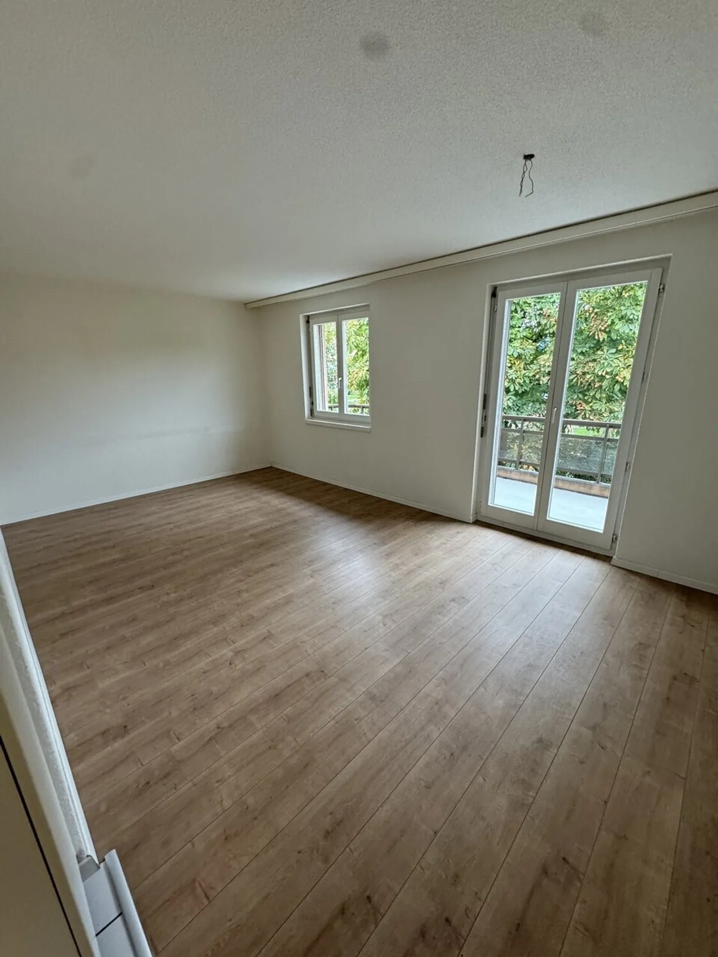 Envie d'un vent frais? - Photo 3 sur 5