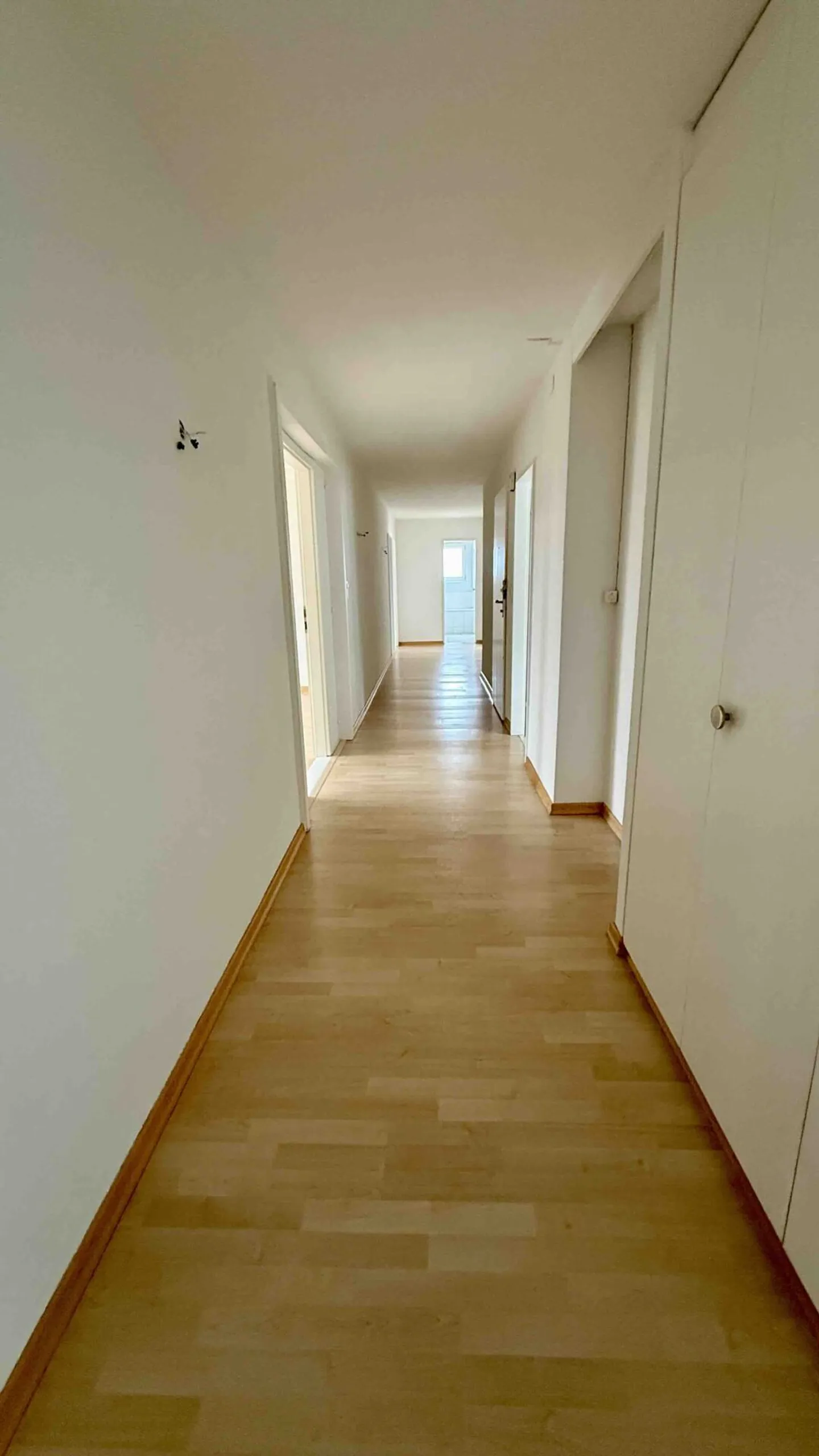 Grand appartement de 6 pièces - Photo 4 sur 13