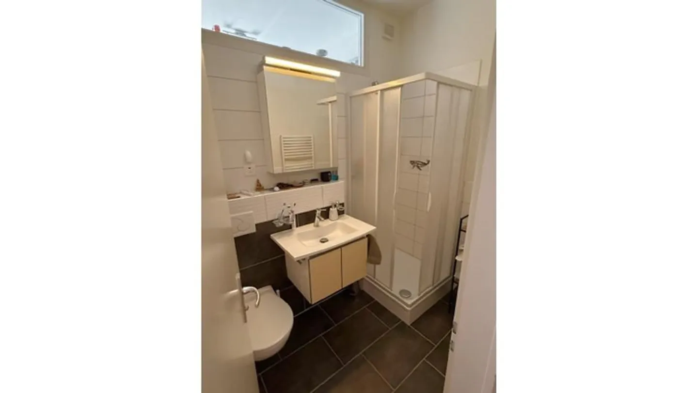 2½ ROOM APARTMENT IN LAUSANNE - CITY CENTER, FURNISHED, RENTAL PERIOD... - Photo 8 of 9