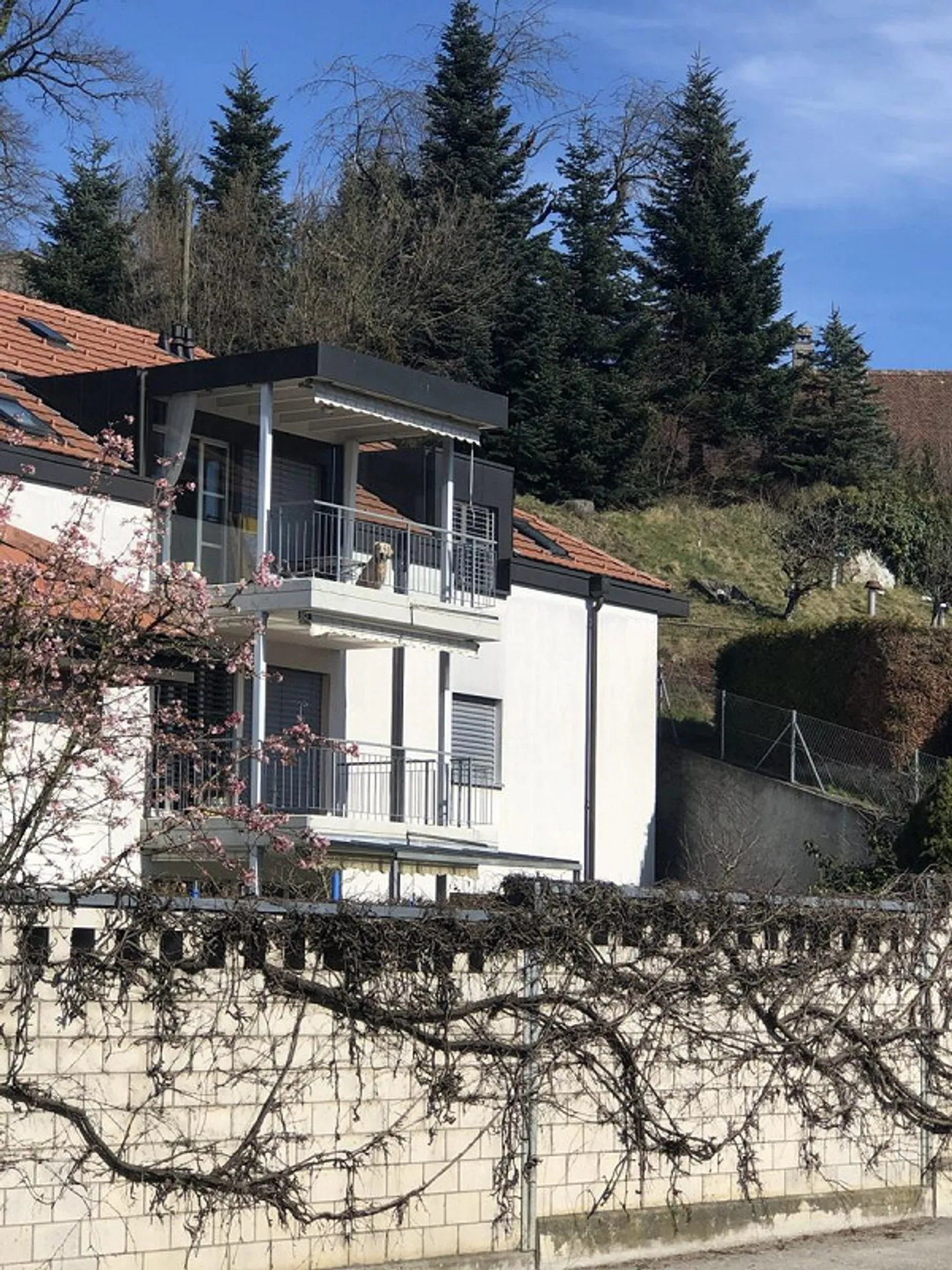 Appartement spacieux de 4,5 pièces avec balcon - Photo 1 sur 9