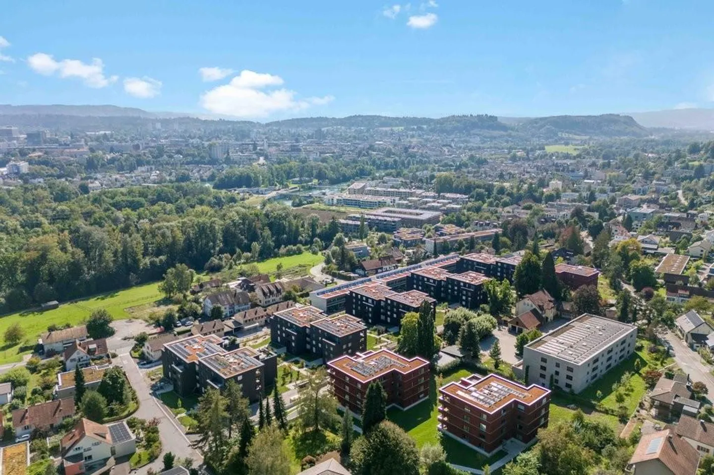 Vous cherchez un Disporaum? - Photo 1 sur 1