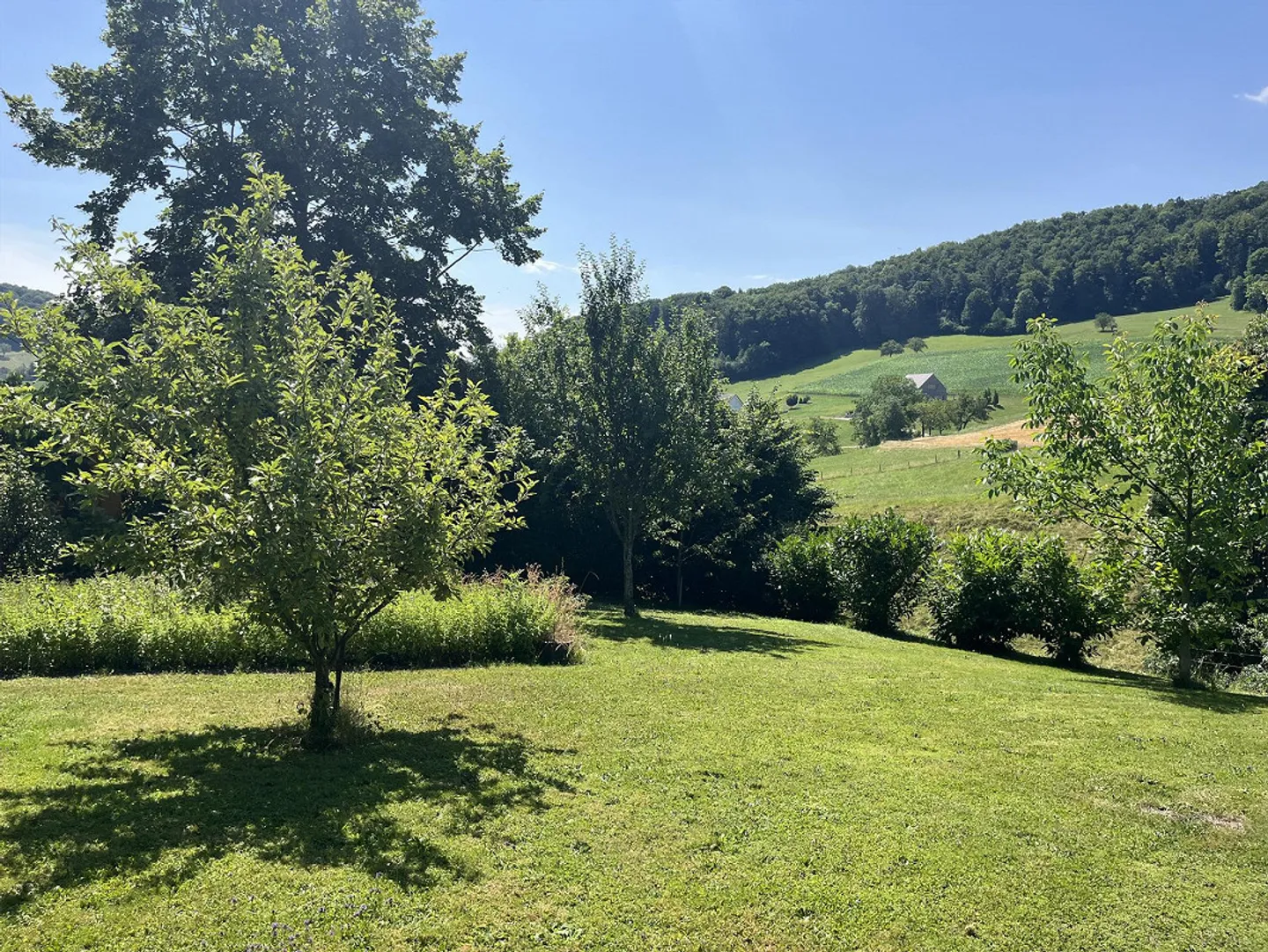 "Ruhig gelegenes Baugrundstück in Känerkinden" - Foto 2 von 6