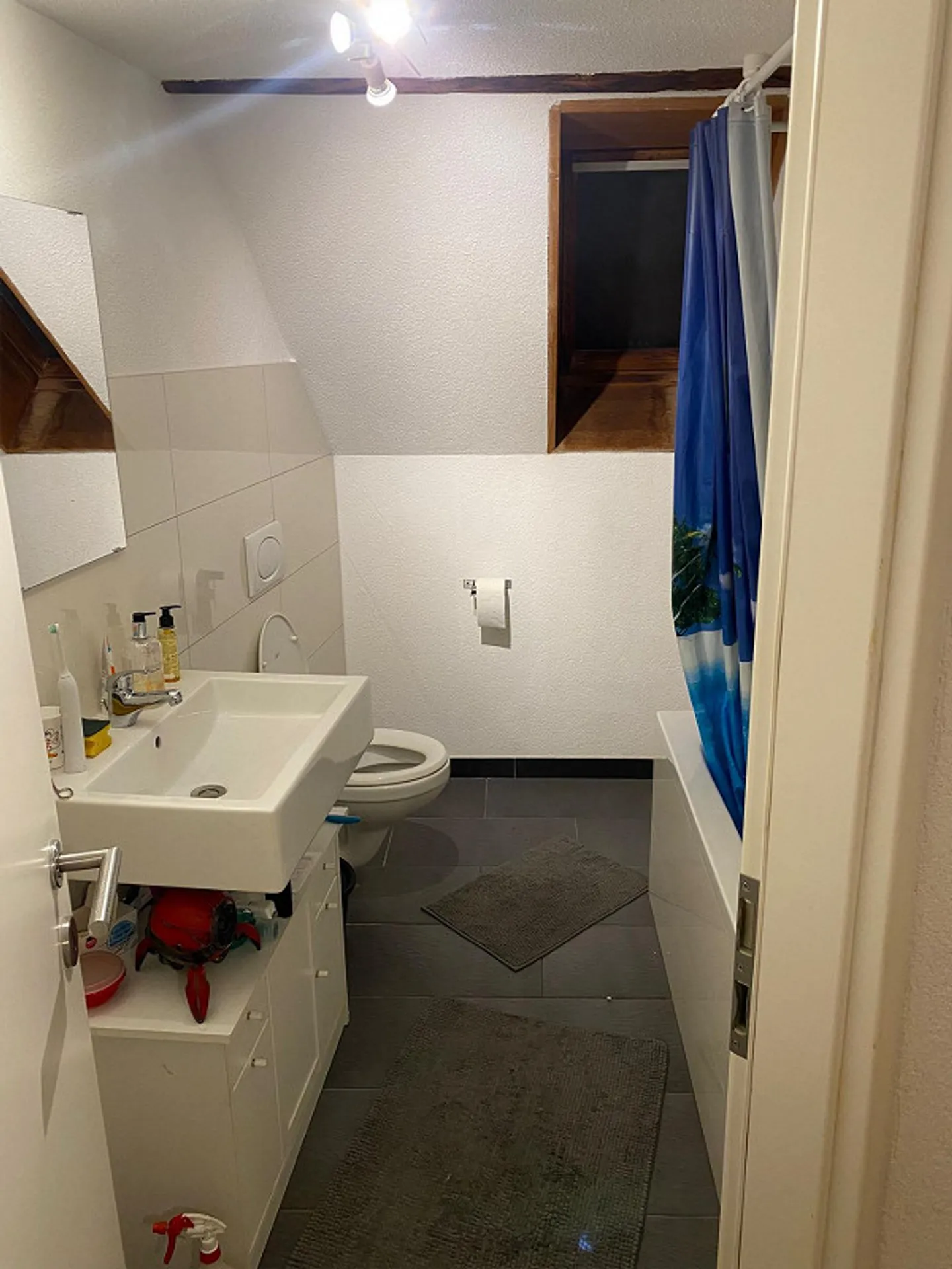 Appartamento attico affascinante e centrale di 5,5 stanze al lago a Rorschach - Foto 5 di 7