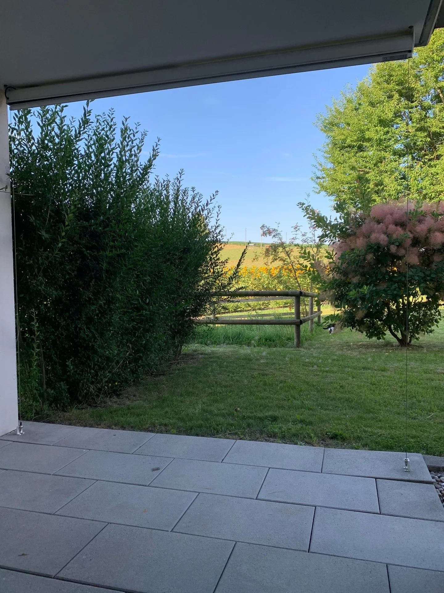 schöne 3.5-Zimmerwohnung mit Gartensitzplatz und Blick ins Grüne - Foto 9 von 10