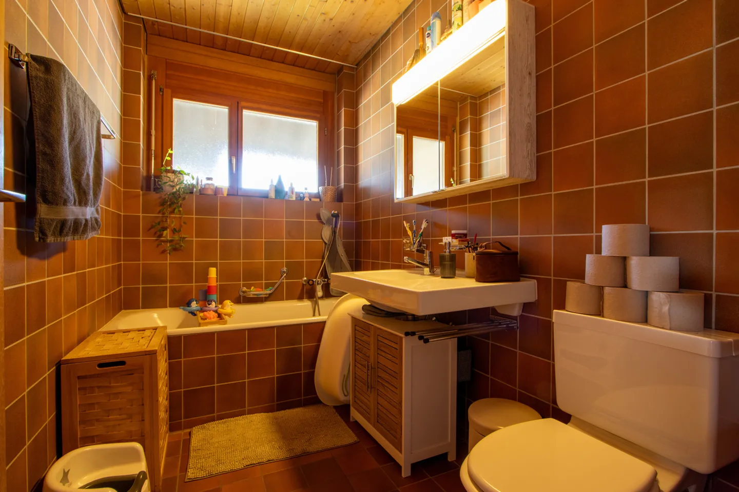 Attico 4.5 camere affascinante - Foto 11 di 13