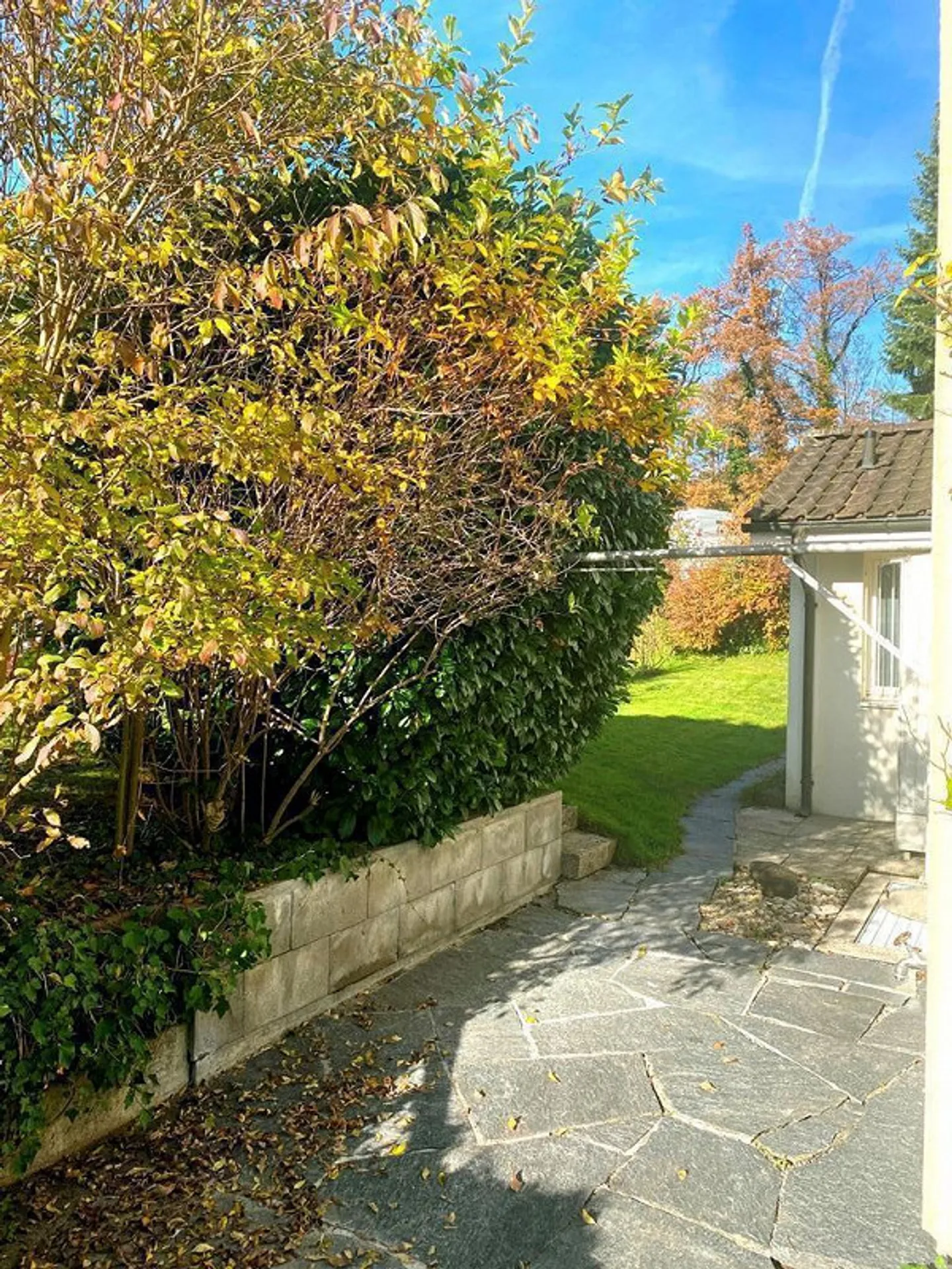 Charming jewel with garden, garage in a quiet location - Photo 7 of 29