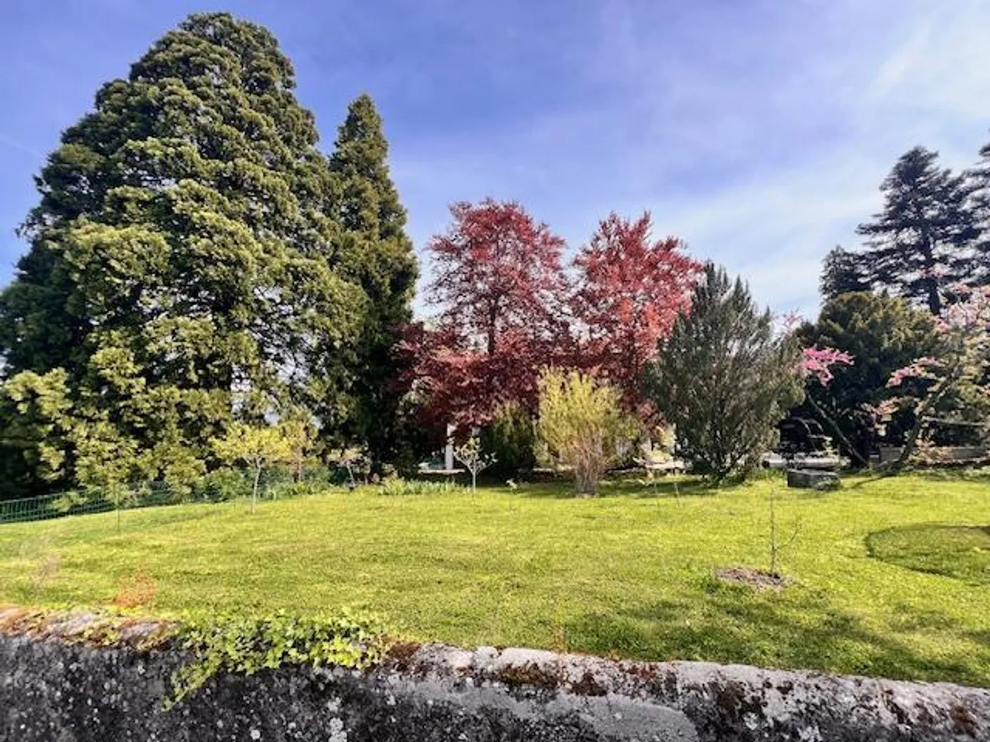 Grande casa di villaggio in vitalizio nella campagna ginevrina di Satigny - Foto 8 di 10