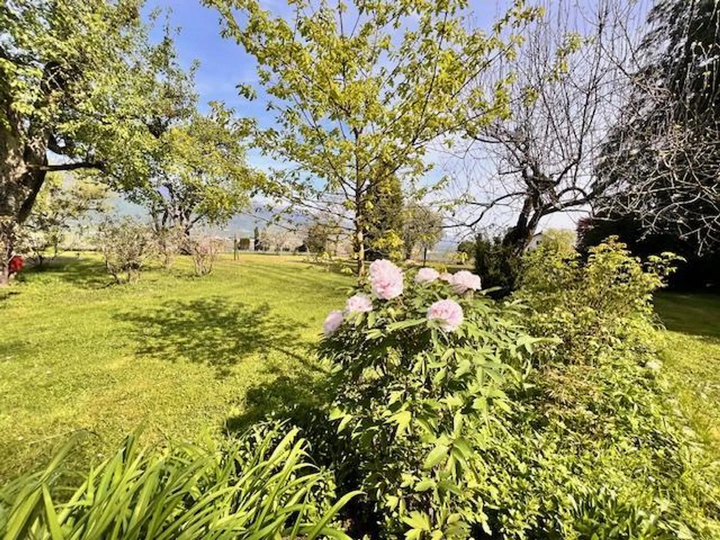 Grande casa di villaggio in vitalizio nella campagna ginevrina di Satigny - Foto 5 di 10
