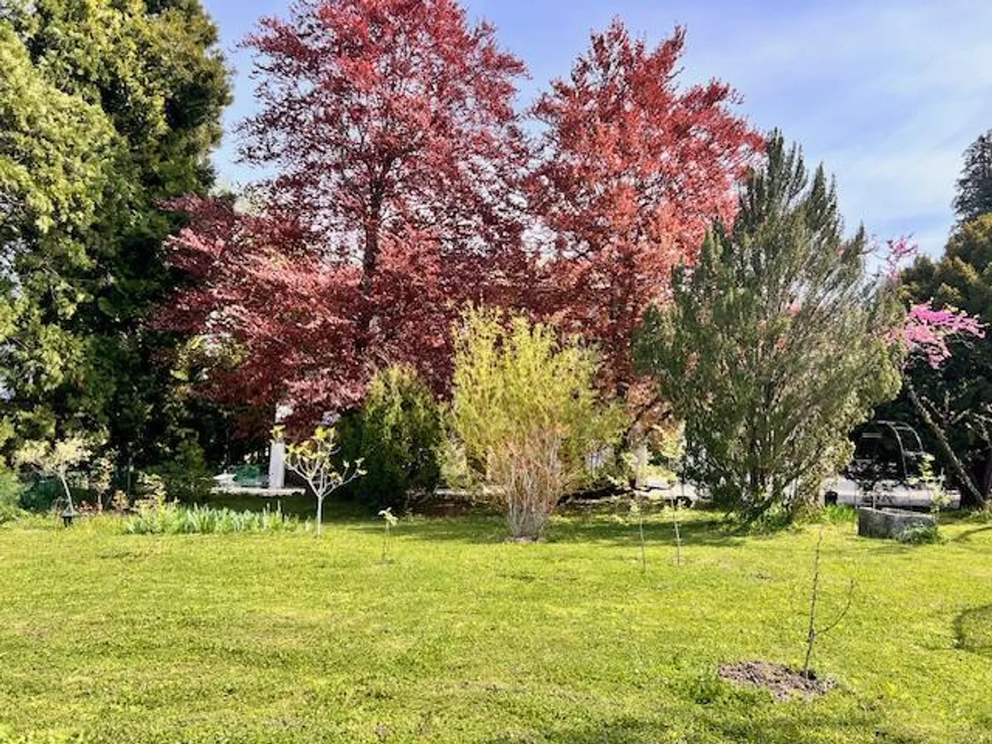 Grande casa di villaggio in vitalizio nella campagna ginevrina di Satigny - Foto 7 di 10