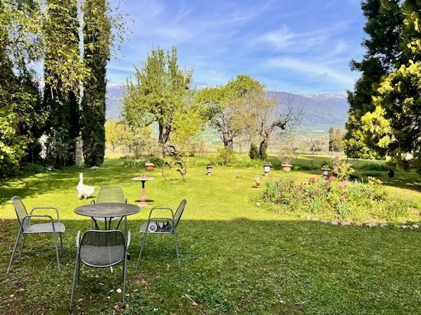 Grande casa di villaggio in vitalizio nella campagna ginevrina di Satigny - Foto 10 di 10