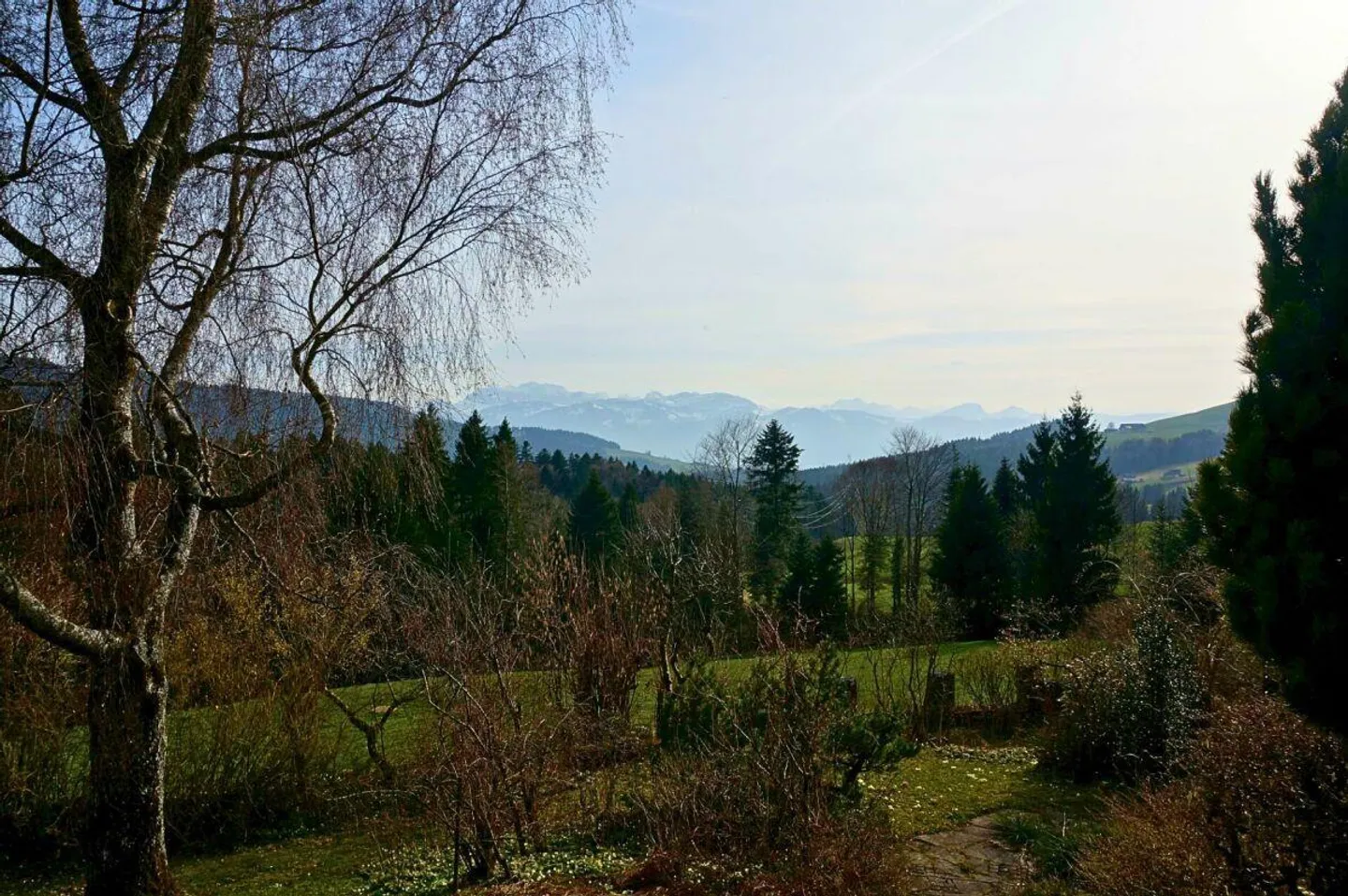 Casa bifamiliare con grande giardino e terreno prativo - Foto 3 di 13