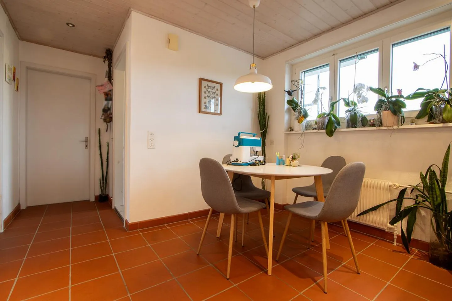 Attraktive Grundstücke mit Entwicklungspotenzial - Foto 5 von 29