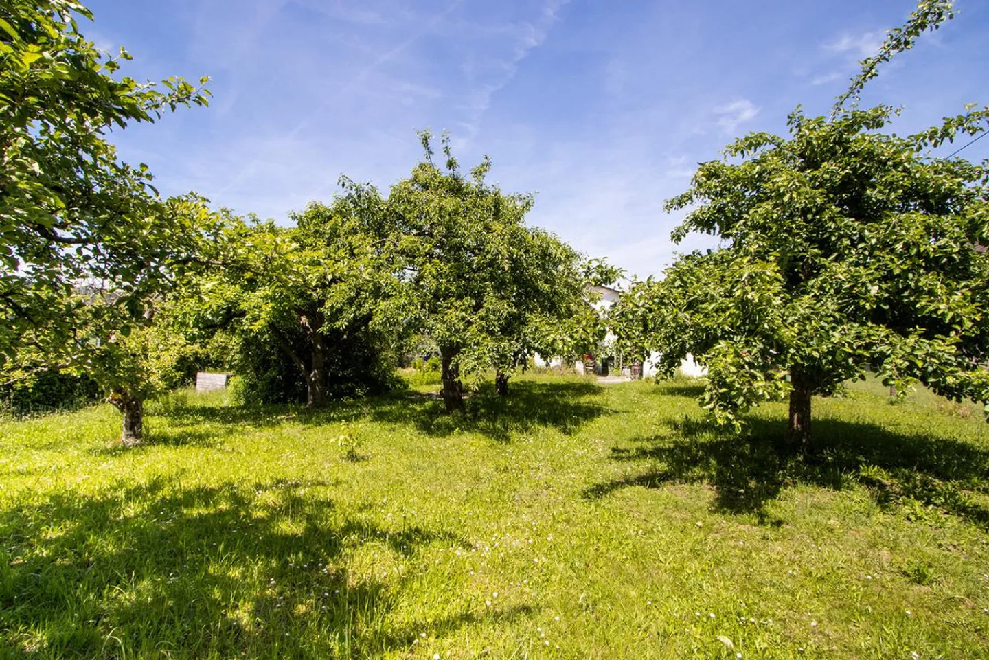 Attraktive Grundstücke mit Entwicklungspotenzial - Foto 28 von 29