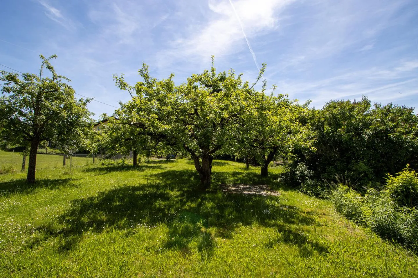Attraktive Grundstücke mit Entwicklungspotenzial - Foto 29 von 29